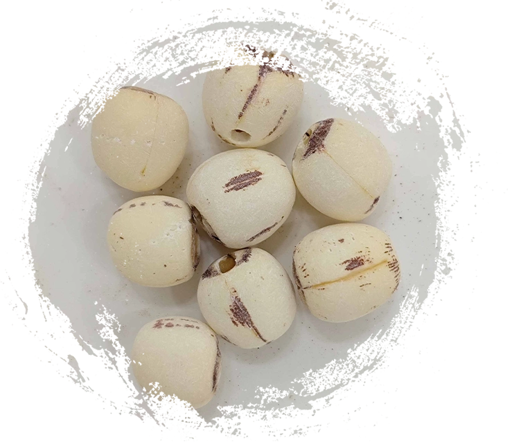 Semente de lótus (liánzǐ)