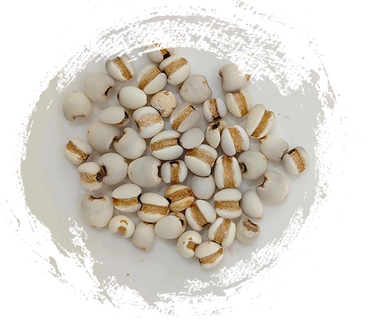 Semente de coix (yìyǐrén)