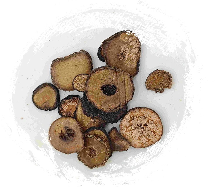 Laranja amarga imaturo (zhǐshí)