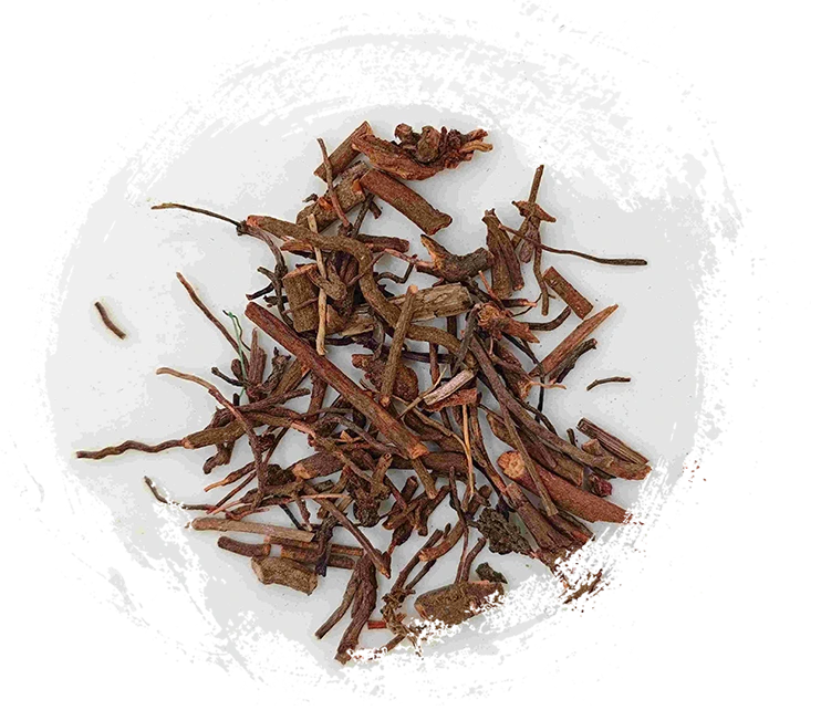 ROIO RUBIA (qiàncǎo)