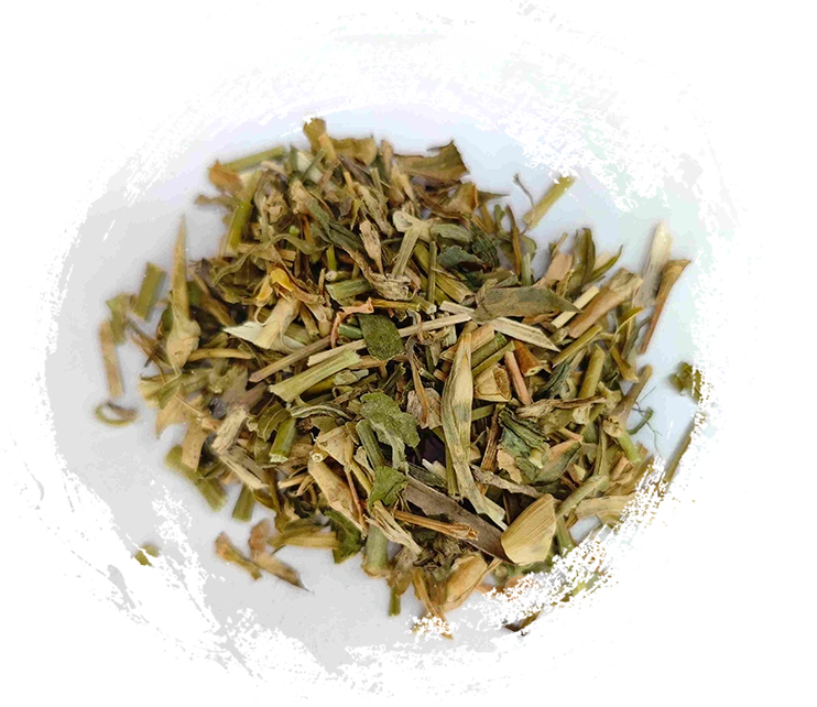 Bellflower chinês (qúmài)