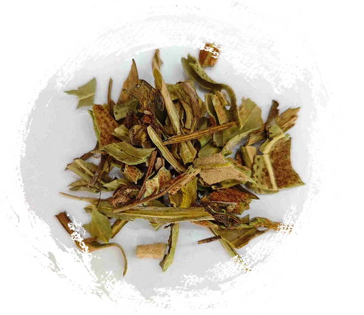 Stonefern (Shíwéi)