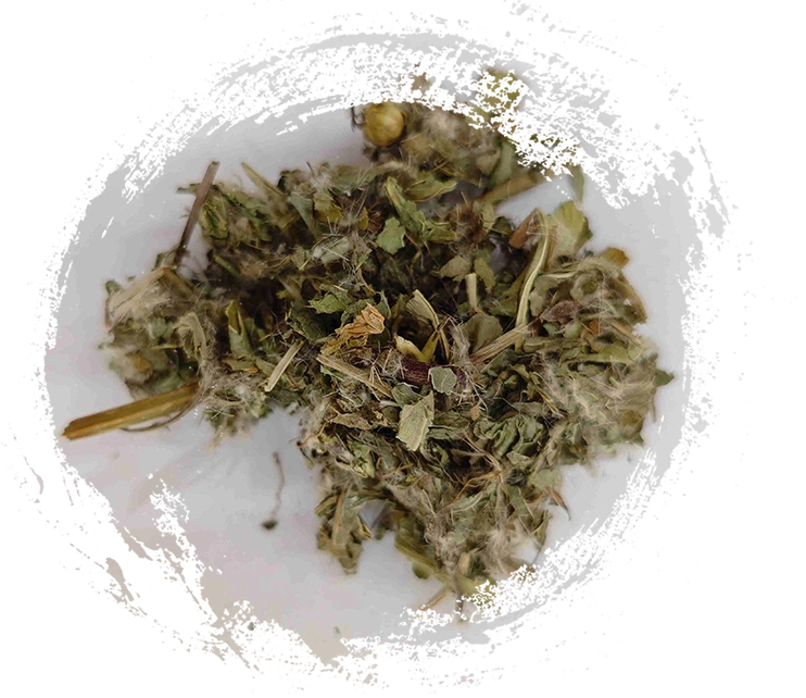 Menor Thistle (xiǎo jì)