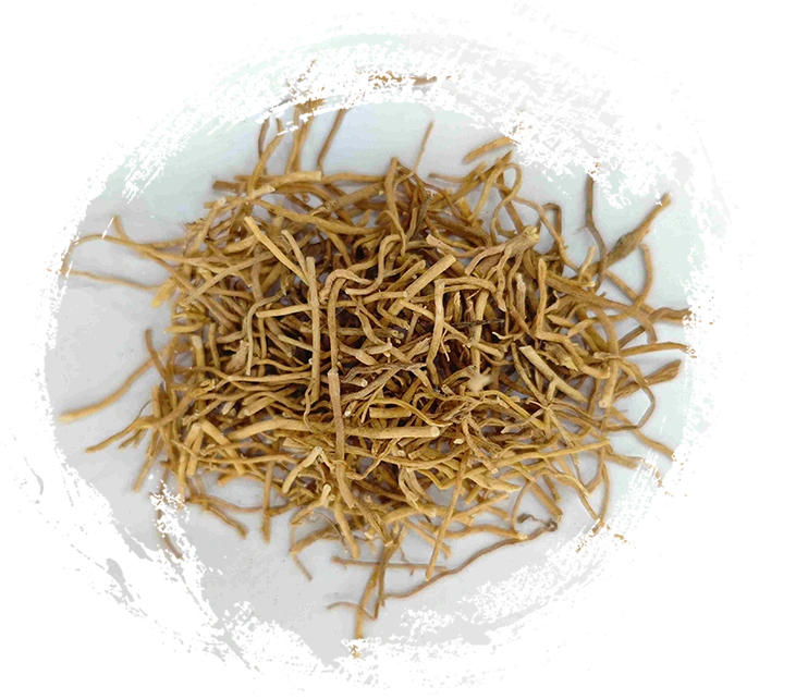 Herba DiLopanthis (Xú Cháng Qīng)