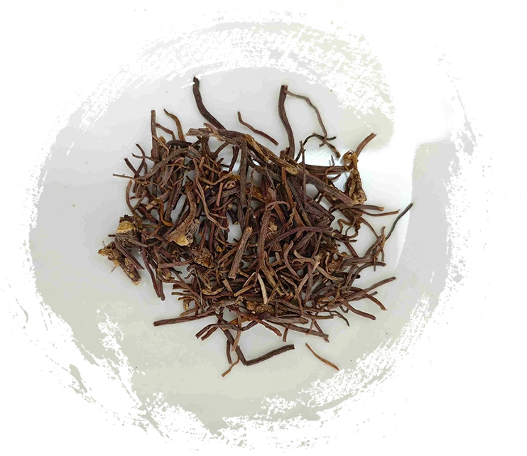O Guia Essencial para a Medicina Tradicional Chinesa (MTC) Vegetal: Características, Funções e Soluções Holísticas