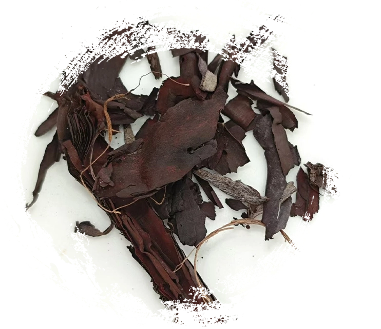 Como funciona a fitoterapia chinesa: princípios, mecanismos e aplicações práticas.