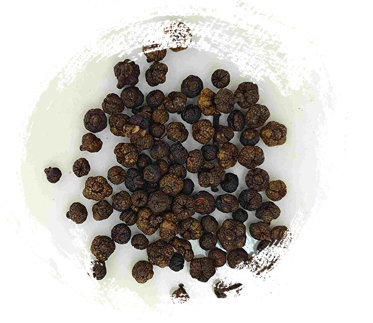 Fruta de Evodia processada (Zhì Wúzhūyú)