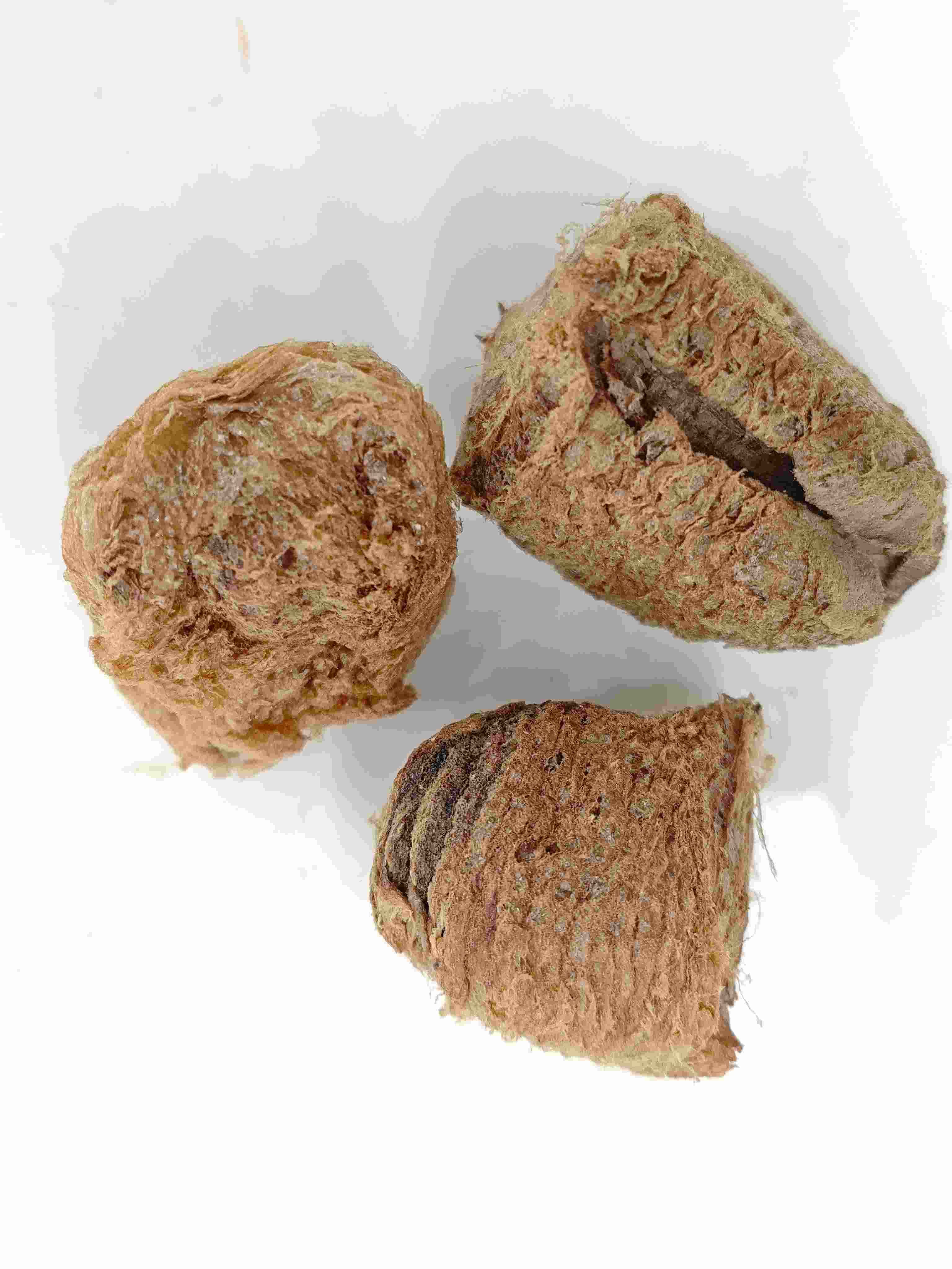 Silkworm Exuvie (Sāngpiáoqiào)