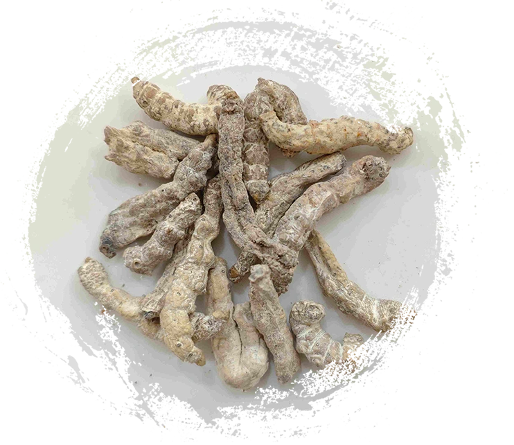 Limpa de seda rígida (Jiāngcán)