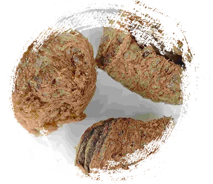 Silkworm Exuvie (Sāngpiáoqiào)