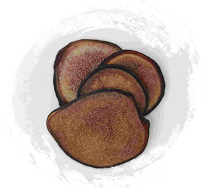 Fatia de chumbo de veado (lùróng piàn)