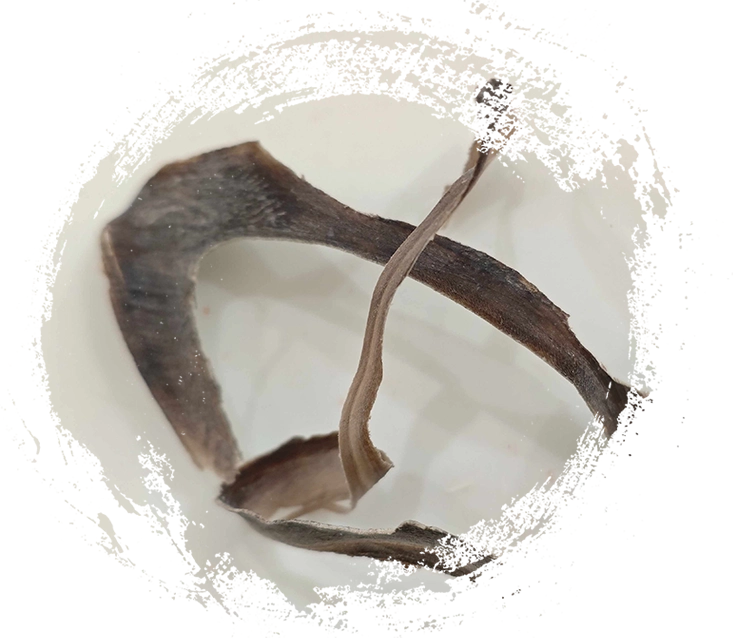 Horno de Búfalo de Água (Shuǐniújiǎo)