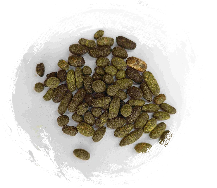 Resina da árvore de laca (Wǔlíngzhī)