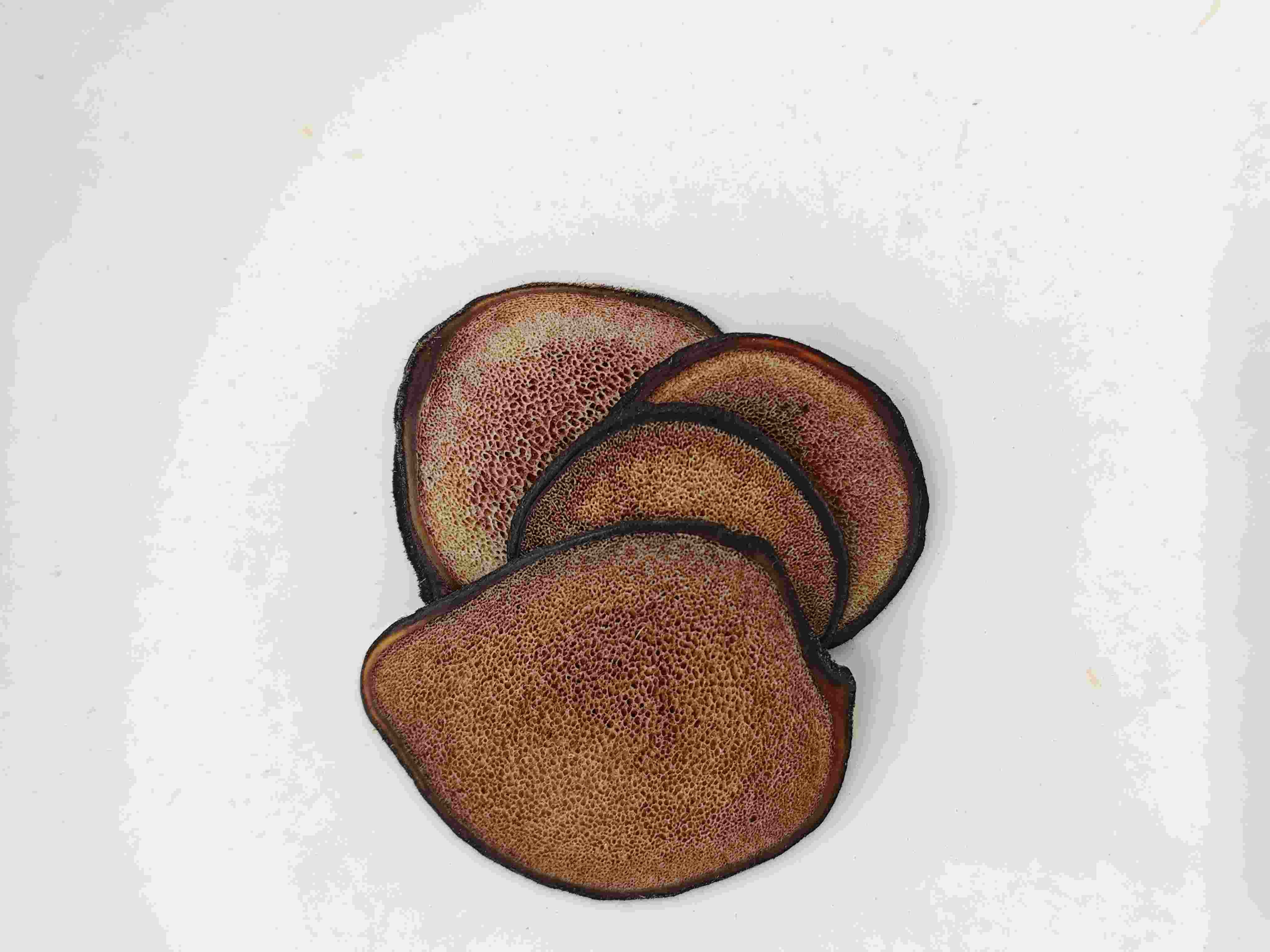 Fatia de chumbo de veado (lùróng piàn)