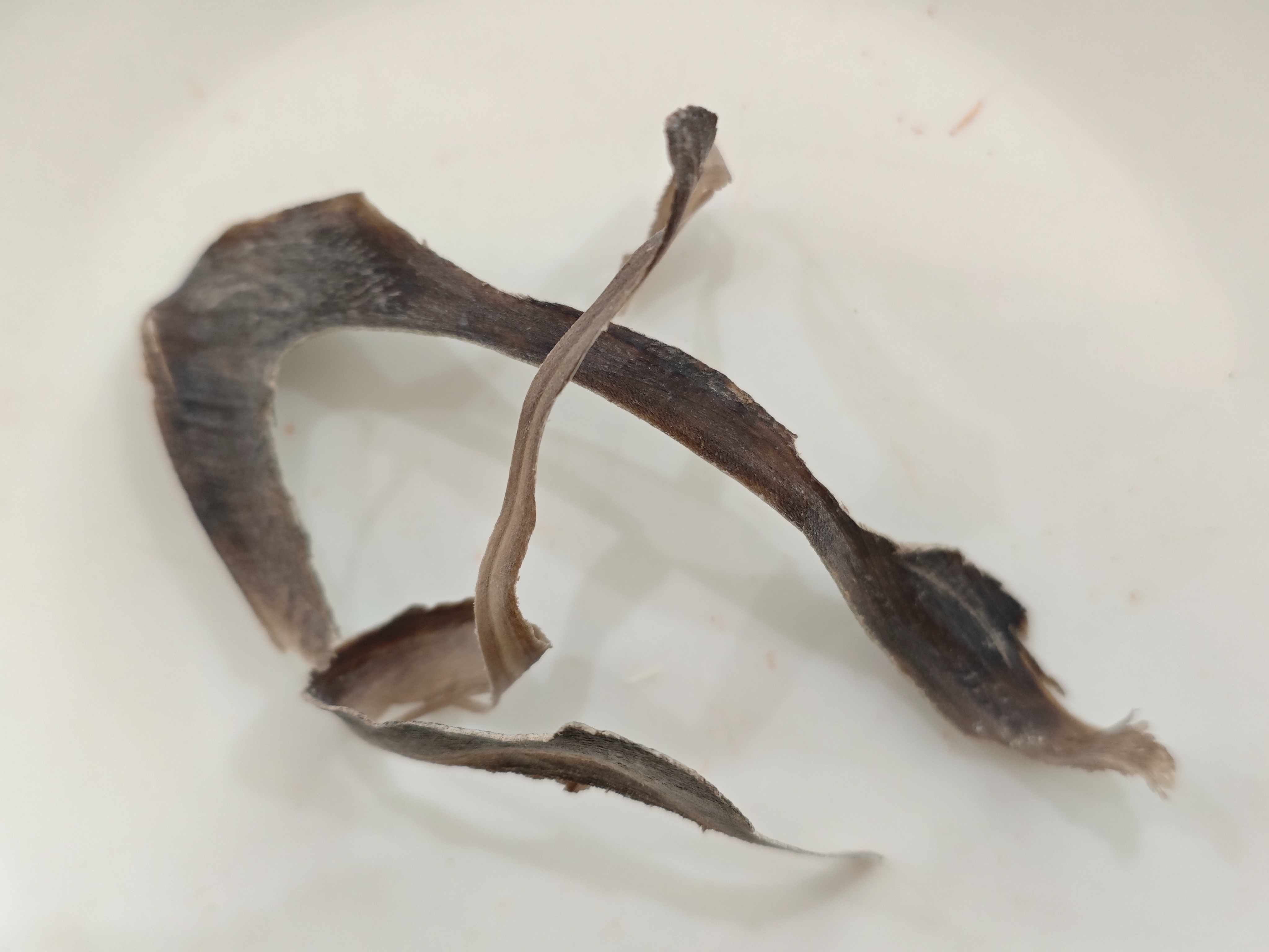 Horno de Búfalo de Água (Shuǐniújiǎo)