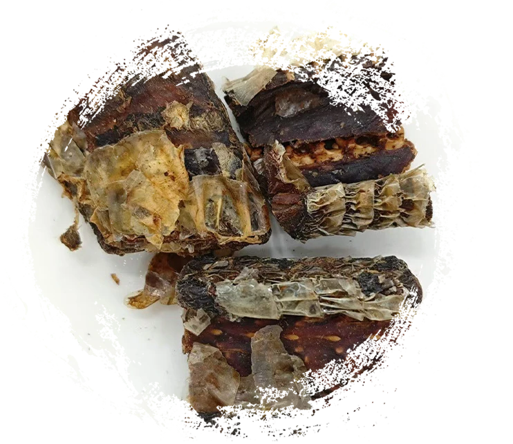 Snake Black-Zigzag Processada de vinho (Jiǔ Wūshāo Shé)