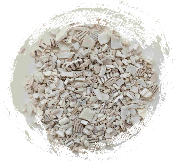 Shell de telha de palha (wǎléngzǐ)