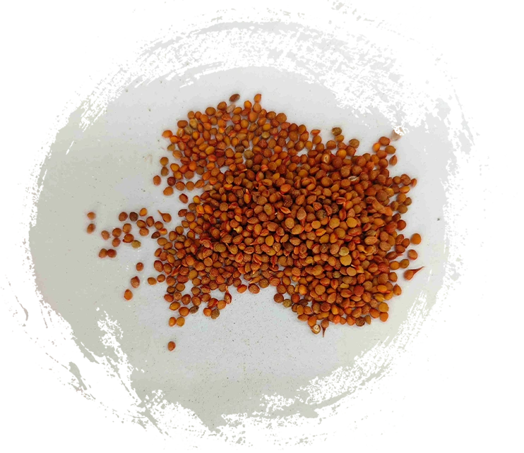 Quais características você deve procurar em um medicamento mineral tradicional chinês de alta qualidade?