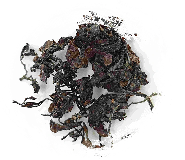 Algas marinhas (hǎizǎo)