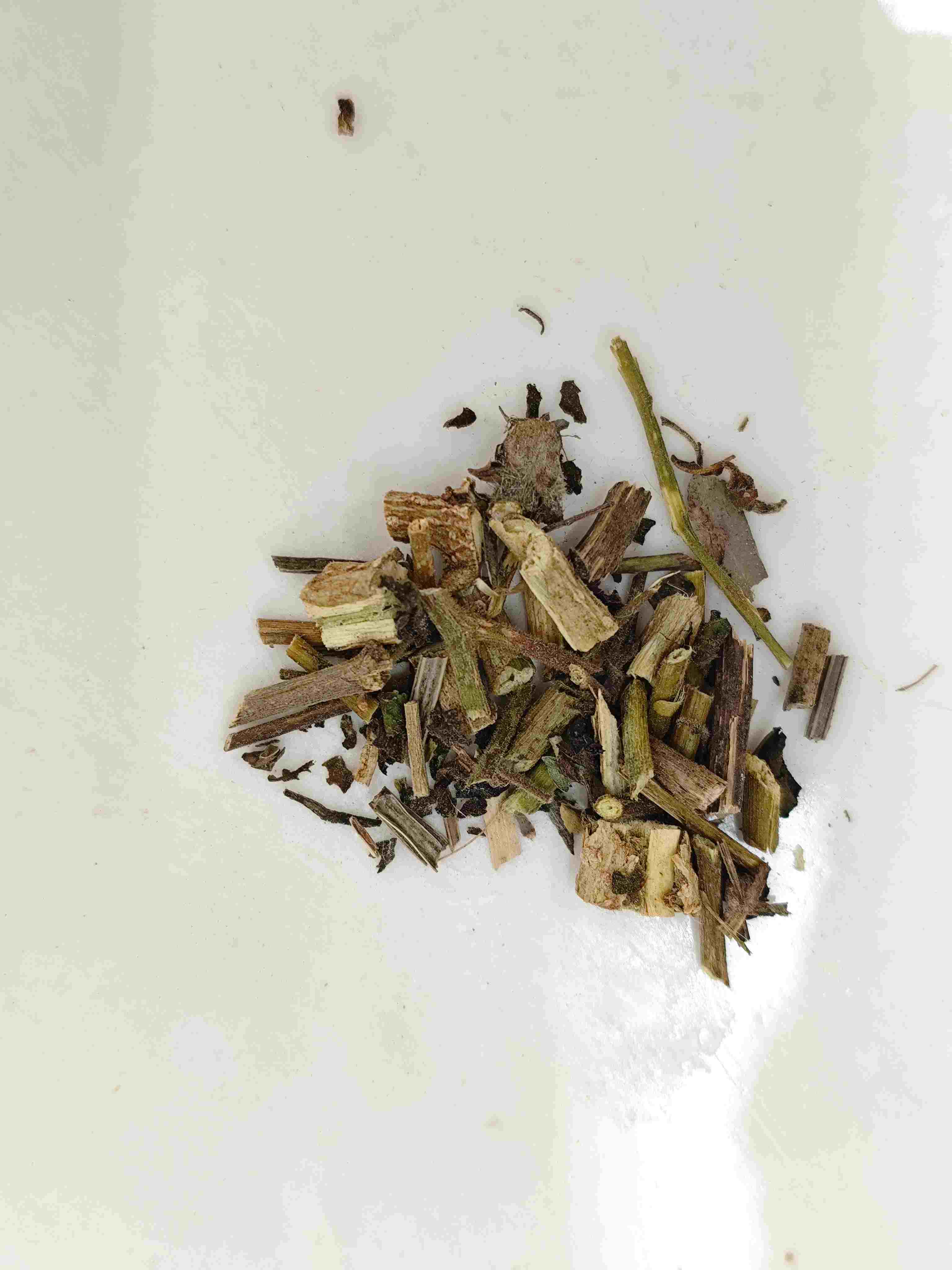 Bud branco (Báiyīng)