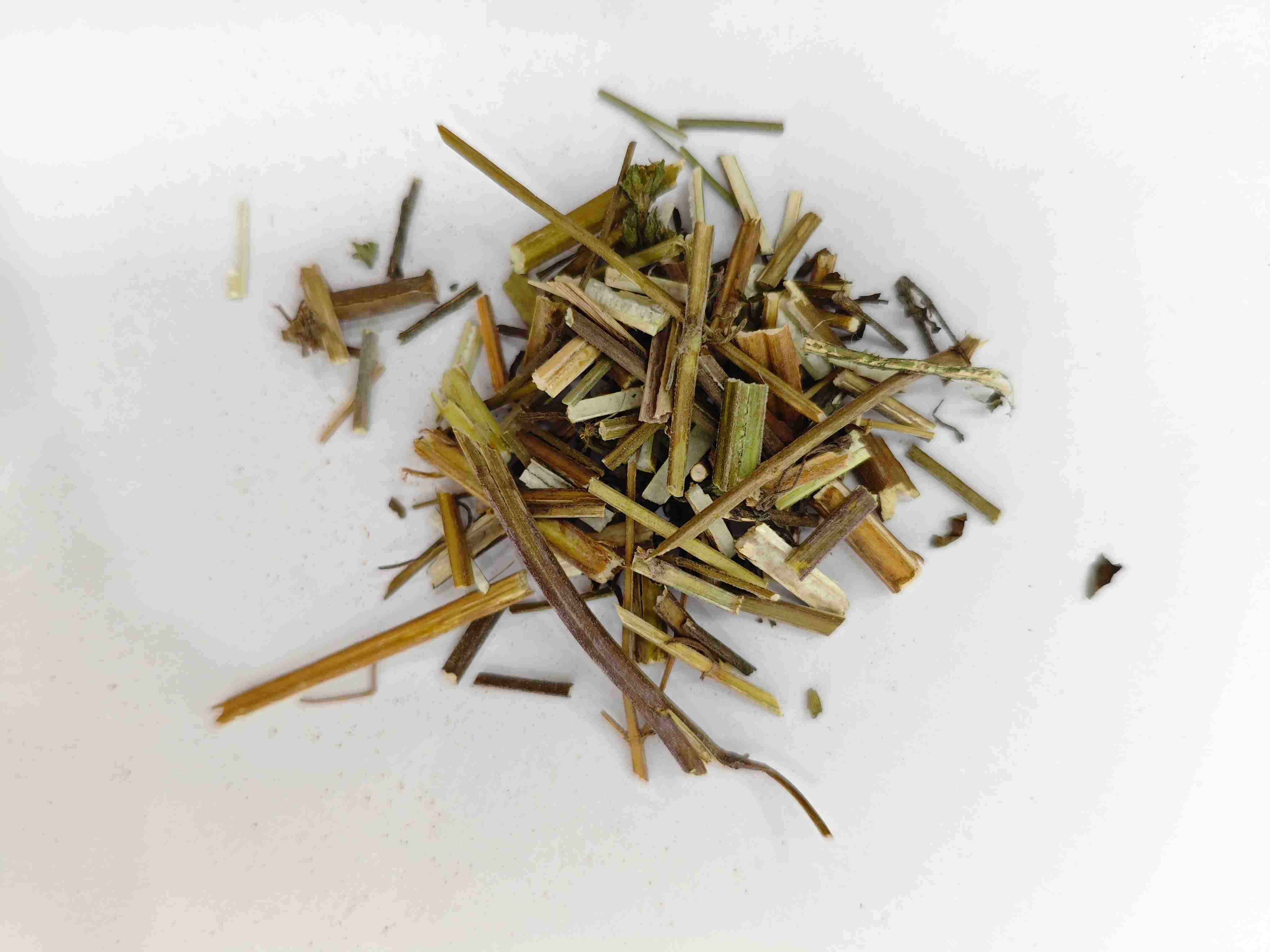 Herba Schizonepetae (Jīngjiè)