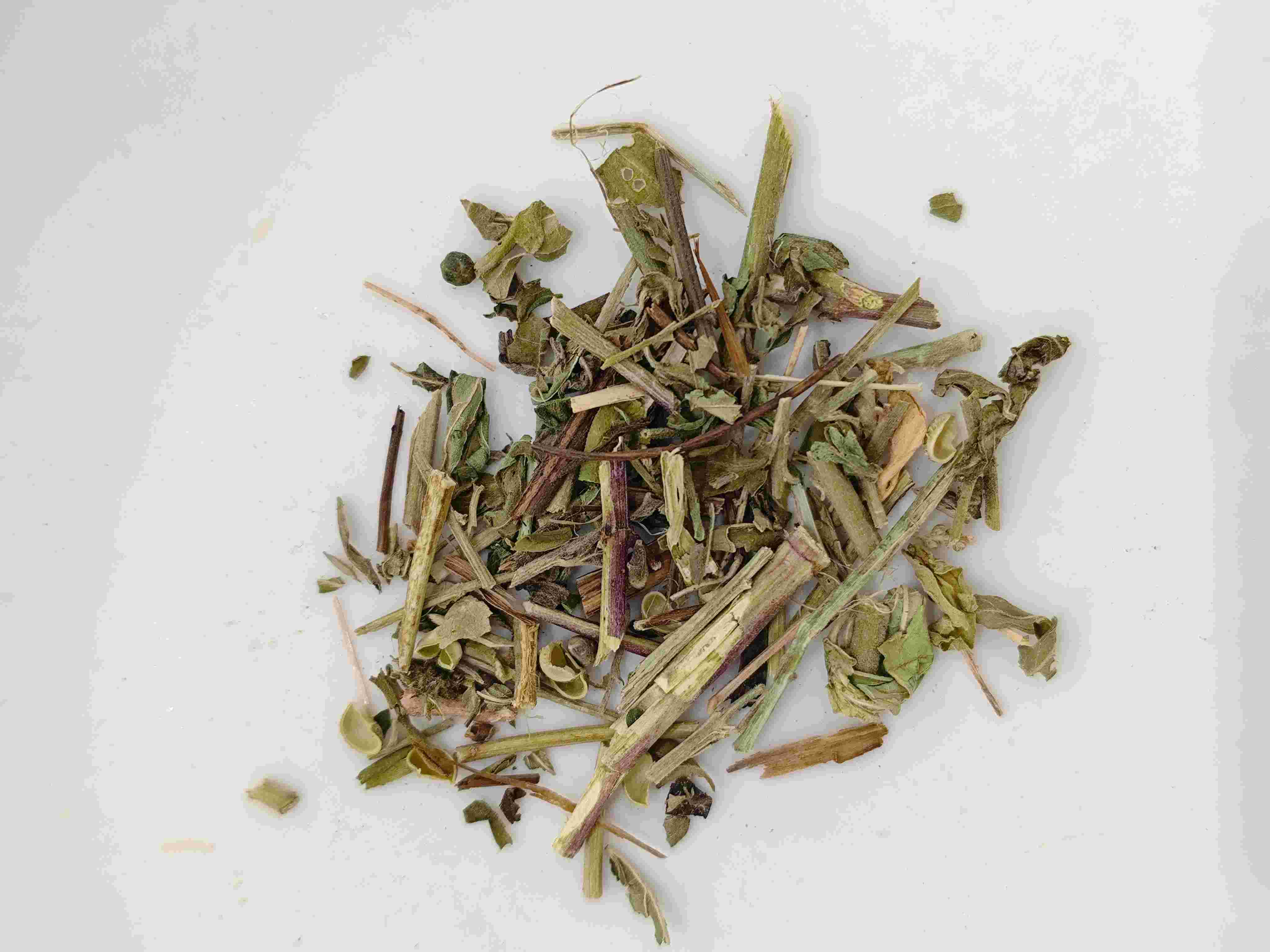 Herba Serrátulae (Tòugǔ Cǎo)