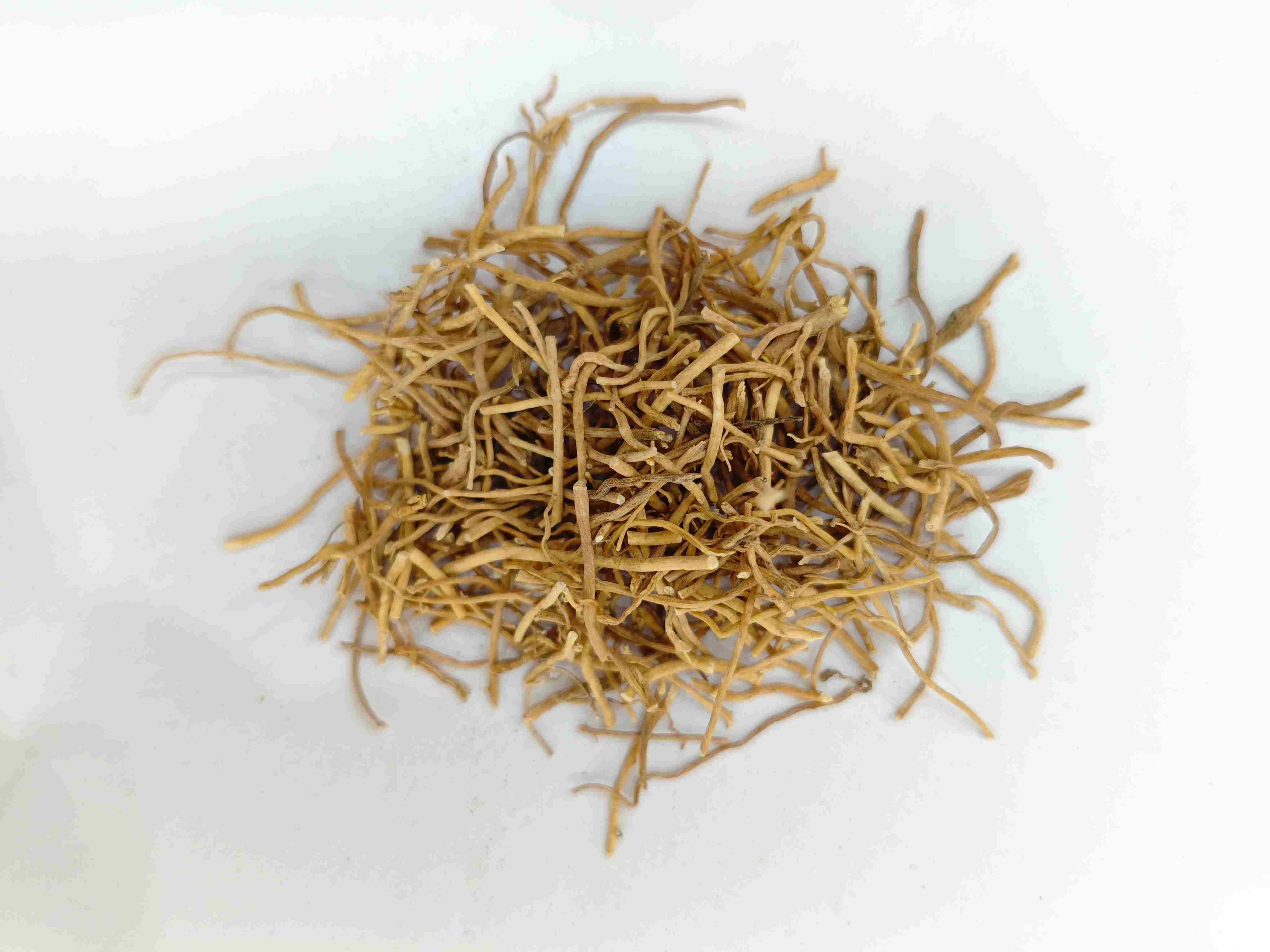 Herba DiLopanthis (Xú Cháng Qīng)