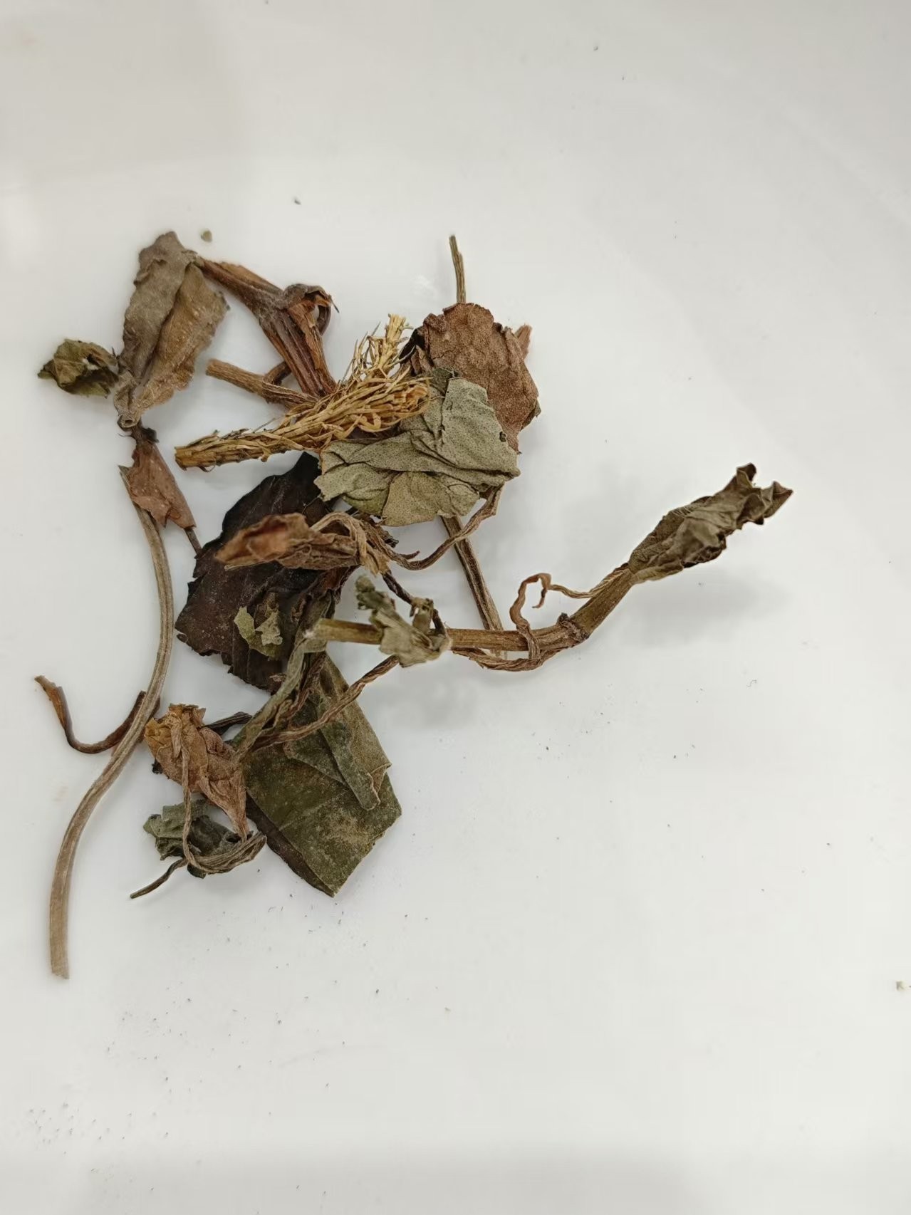 Houttuynia (yúxīngcǎo)