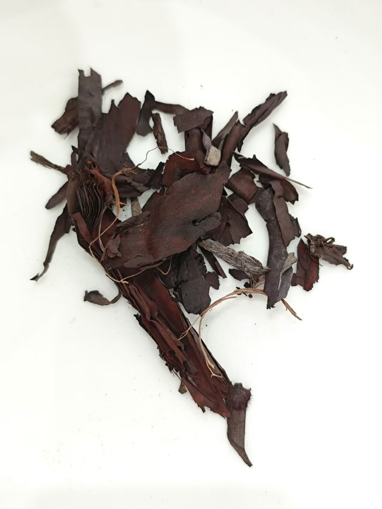 Litospermum (Zǐcǎo)