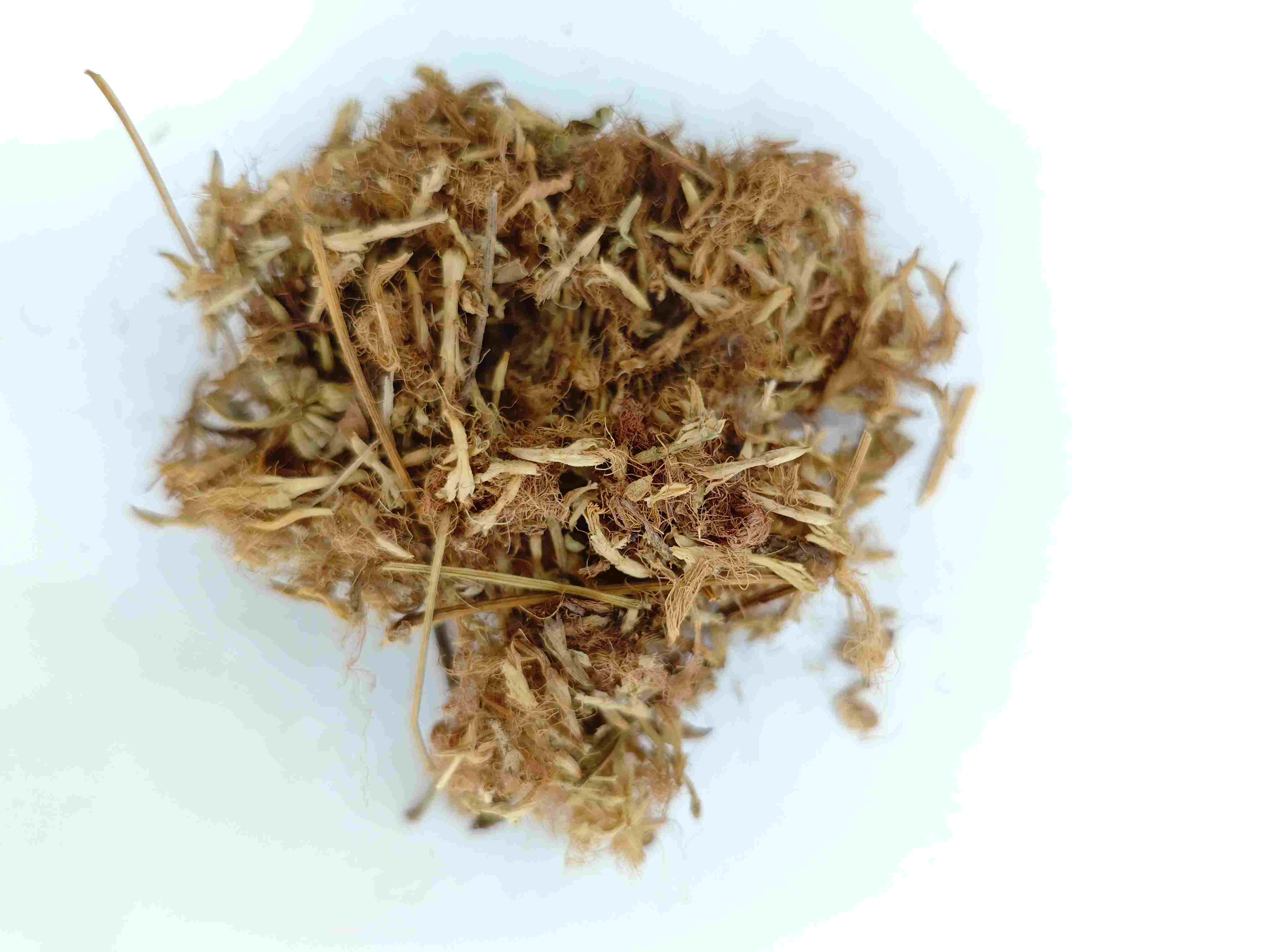 Flor da árvore da seda (héhuān huā)