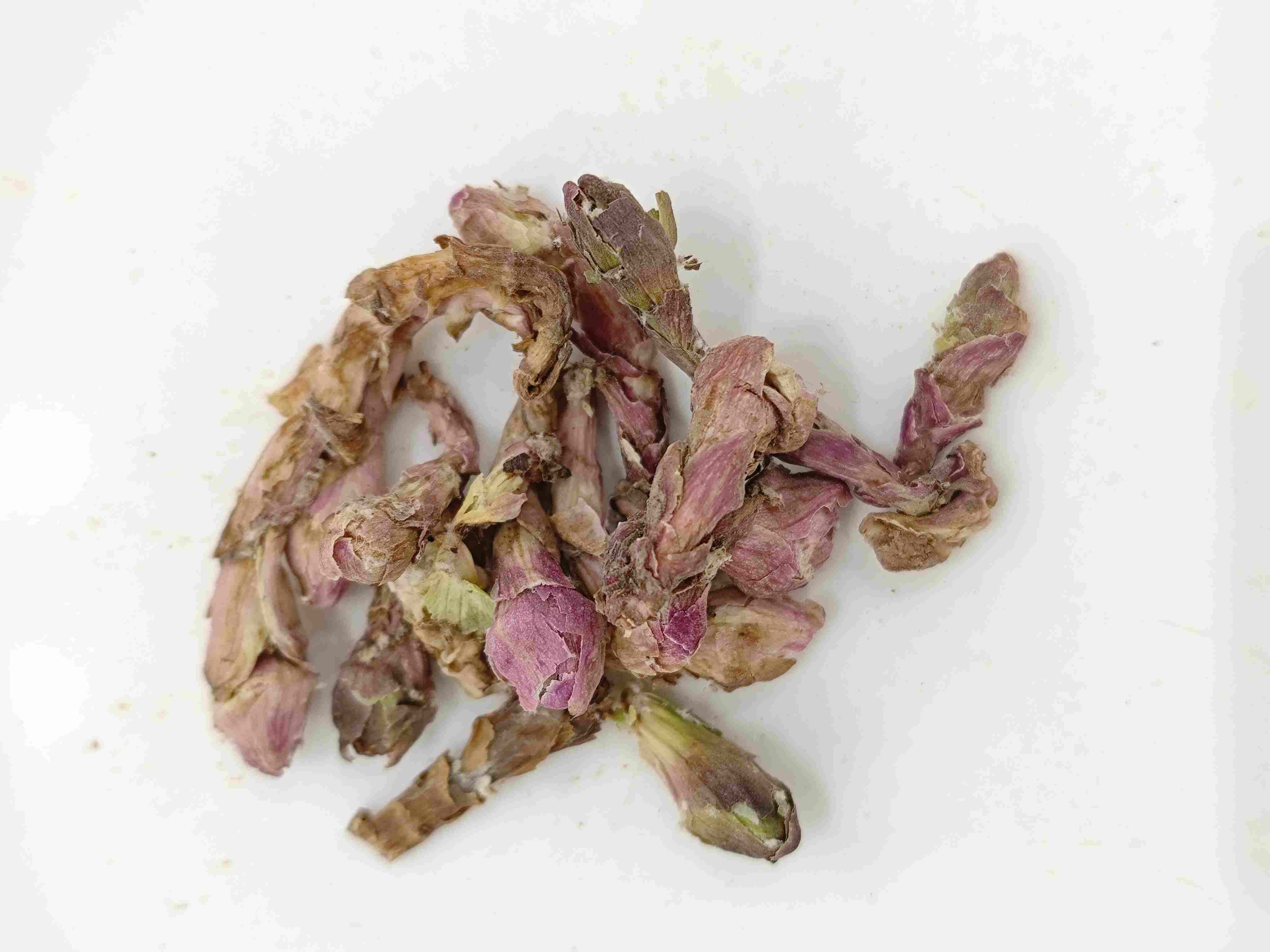 Flor de Winterhelmet (Kuǎndōng huā)