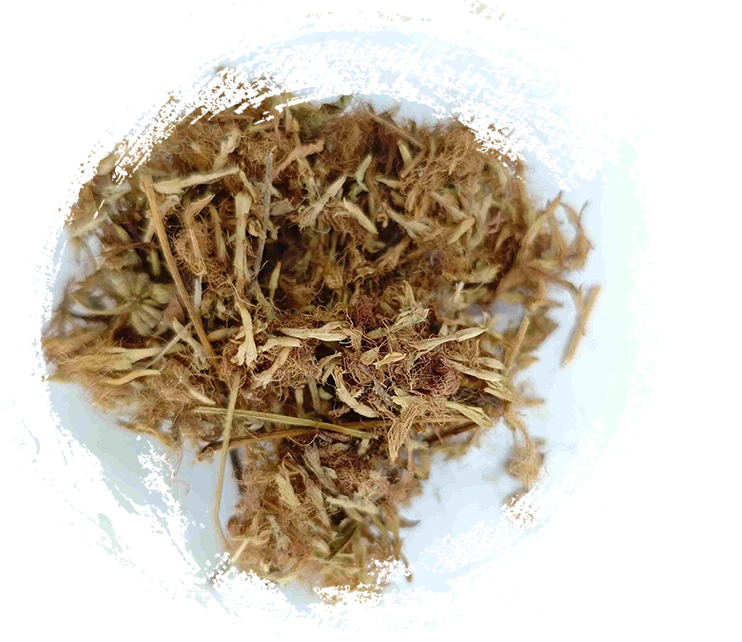 Flor da árvore da seda (héhuān huā)