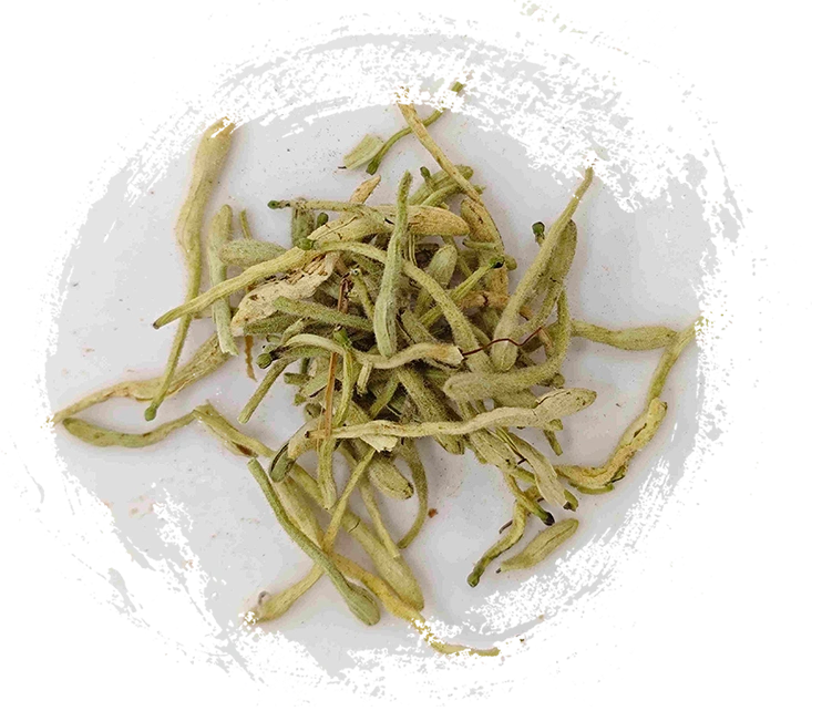 Flor de madressilva (Jīnyínhuā)