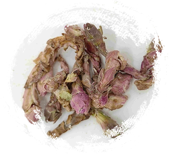 Flor de Winterhelmet (Kuǎndōng huā)