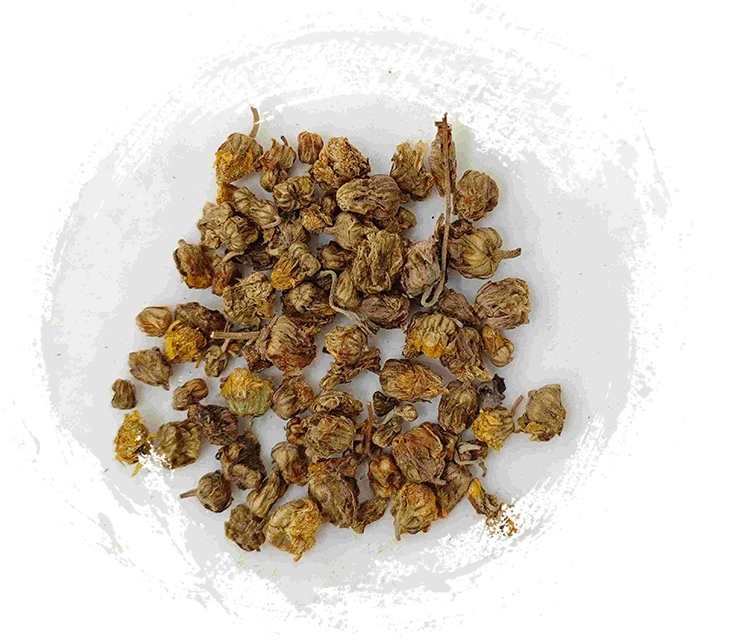 Crisântemo selvagem (yě jú huā)