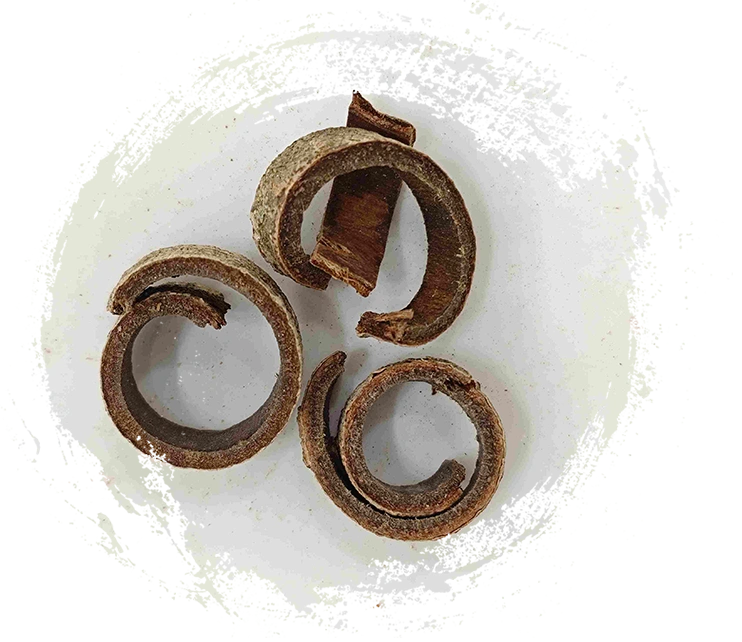 Casca de magnólia (hòupò)