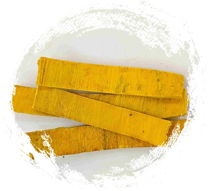 Casca de phellodendro (huángbò)