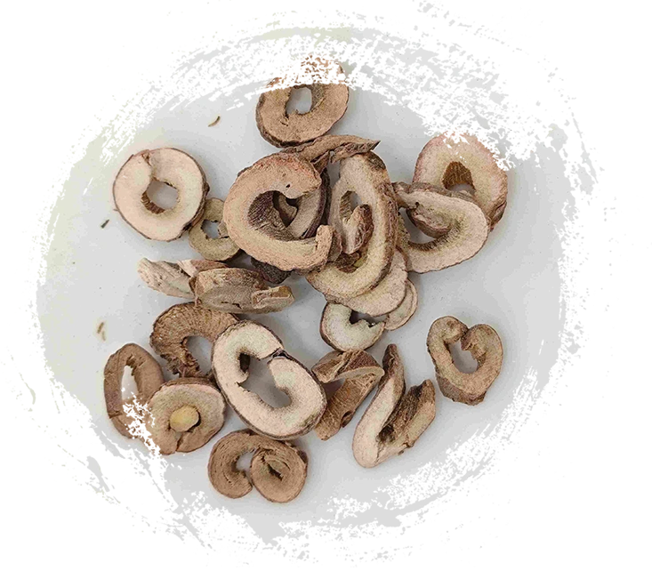 Casca de peônia da árvore (mǔdān pí)