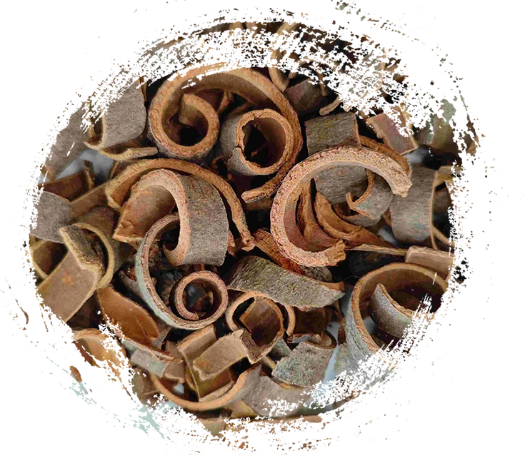 Principais propriedades e características curativas das plantas herbais da MTC