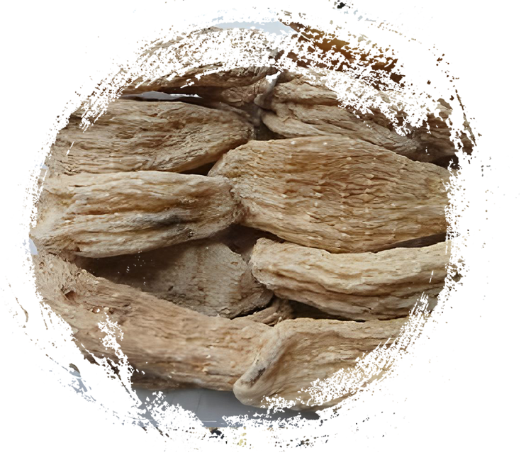 Shennongjia Gastrodia elata de Hubei