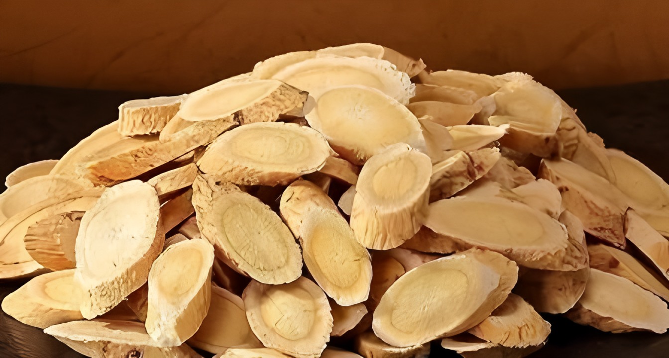 Astragalus do norte de Hengshan
