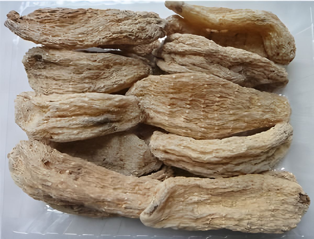 Shennongjia Gastrodia elata de Hubei