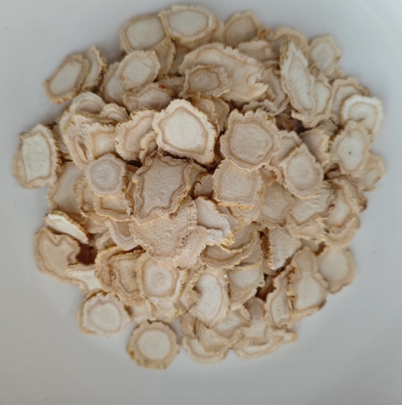 Panax Ginseng na Medicina Tradicional Chinesa: Principais Características e Usos Tradicionais